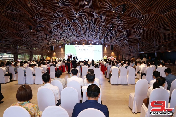  Sơn La fuô điểm số sơưr hov thiaz kruôk 3 sở, ngành lês hâux lưv DCCI jông yax hlo