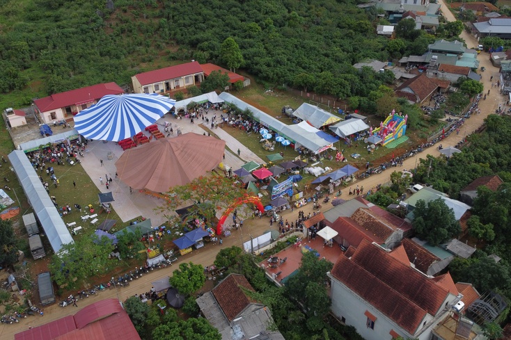Lively plum festival held in Yen Son