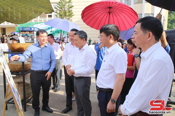 "The Essence and Aroma of Arabica Coffee” programme held at Tay Bac University