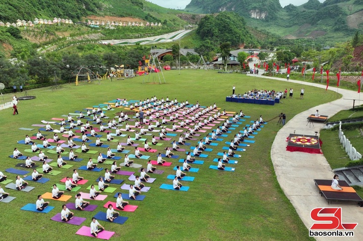 International Day of Yoga celebrated on Moc Chau plateau