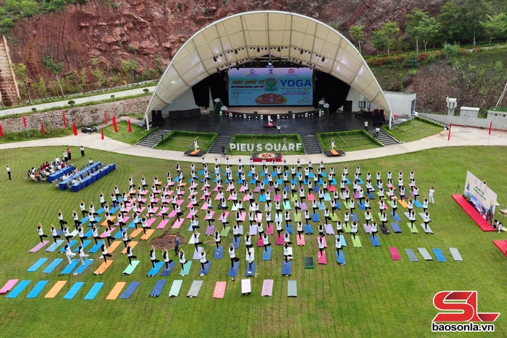 Lov jêv Hnuz grâuv pax Ntiax têz Yoga ntơưv lax trôngz Mộc Châu