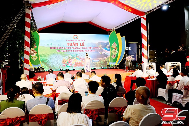 Kriz Têx hnuz muôs kôngz thiaz txir nox hur tỉnh Sơn La ntơưv Hải Phòng shông 2026