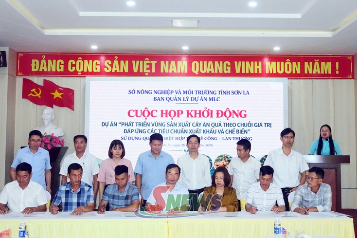  Son La kicks off project to develop fruit production areas under value chains