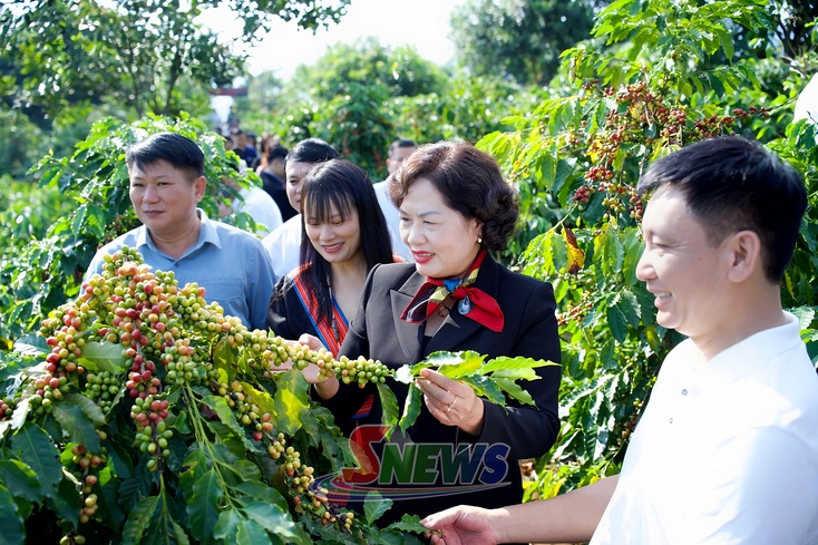 NA Vice President visits coffee processing plant, agricultural and tourism models in Son La