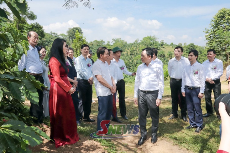 Tẳng cốc tẳng tánh Hươn máy chế biến cà phê Detech