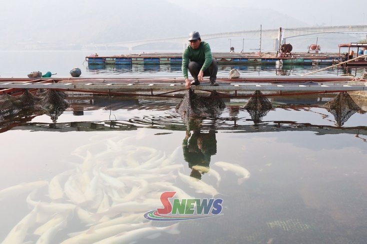 Sir zôngv tâu jông têx zav muôx txơưv hâur pak đêx Quỳnh Nhai