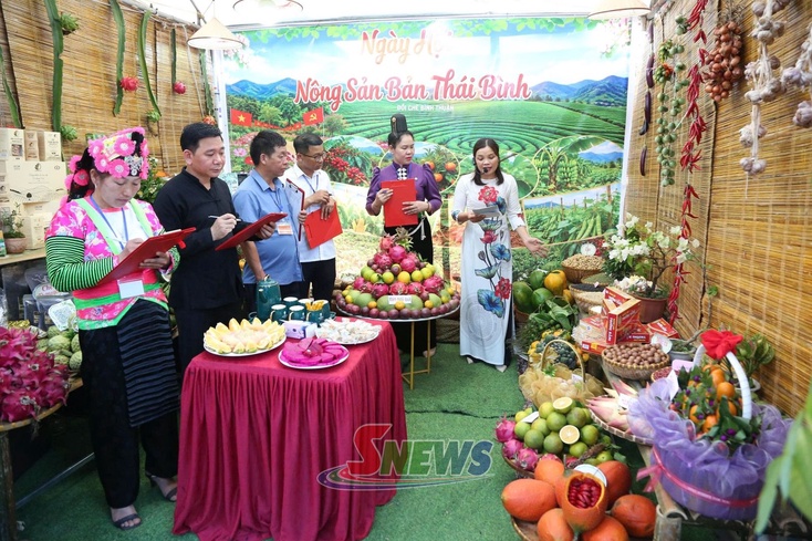 Binh Thuan holds Agricultural Products, Culture and Tourism Festival 2026