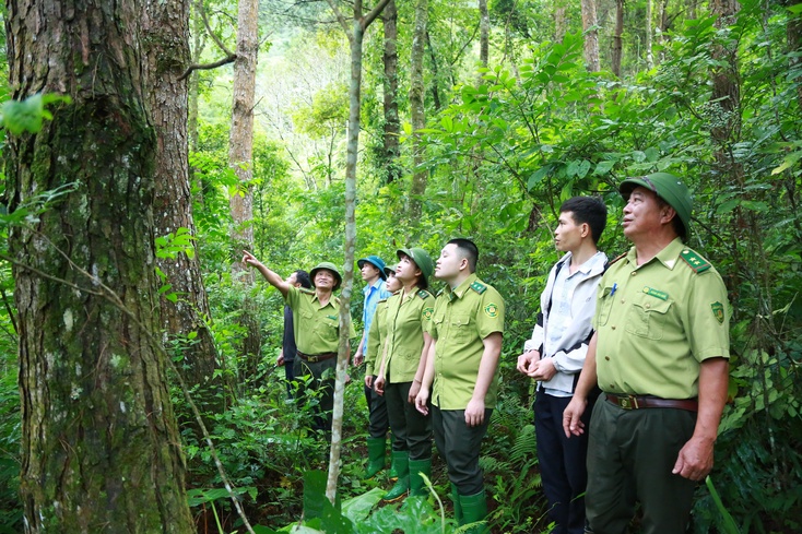 Son La prepares nomination dossier for Muong La-Ta Xua world biosphere reserve