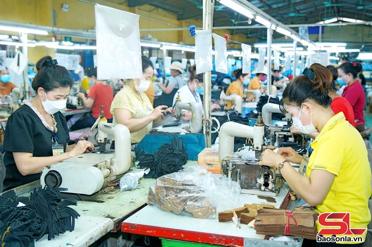 Kinh tế tư nhân đón mùa xuân mới