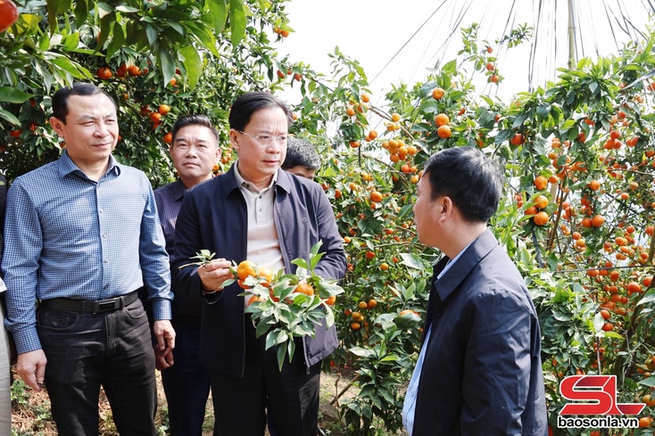 Hành trình trở thành điểm sáng nông nghiệp:
Kỳ 1. Quyết sách trúng, quyết tâm cao