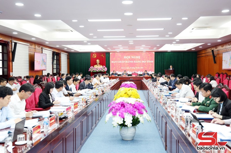 Hội nghị Ban Chấp hành Đảng bộ tỉnh