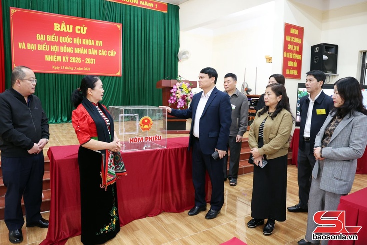 Phường Tô Hiệu triển khai diễn tập, sẵn sàng cho ngày bầu cử 15/3