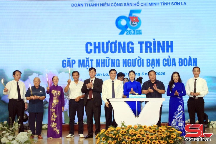 Gặp mặt kỷ niệm 95 năm Ngày thành lập Đoàn TNCS Hồ Chí Minh và tuyên dương cán bộ Đoàn, đoàn viên tiêu biểu