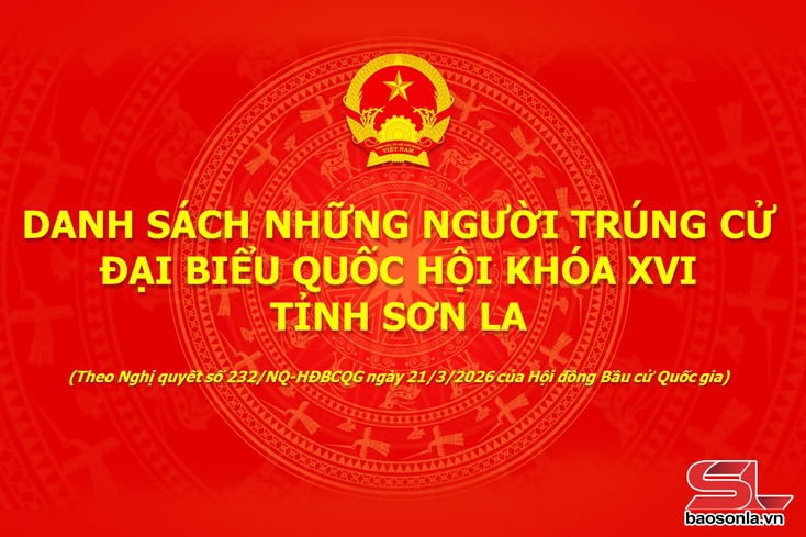 DANH SÁCH NGƯỜI TRÚNG CỬ ĐẠI BIỂU QUỐC HỘI KHÓA XVI, TỈNH SƠN LA