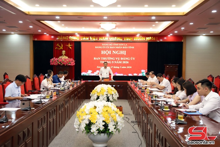 Hội nghị Ban Thường vụ Đảng ủy UBND tỉnh tháng 5/2026