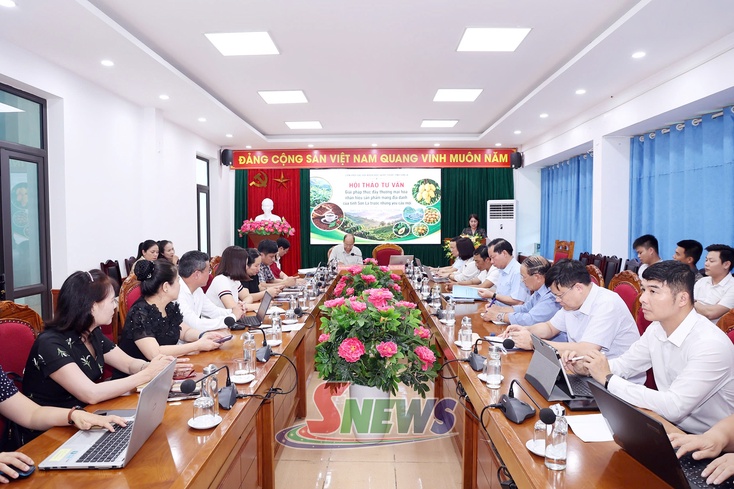 Hội thảo tư vấn giải pháp thúc đẩy thương mại hóa nhãn hiệu sản phẩm mang địa danh Sơn La