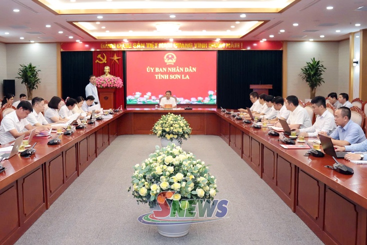 Đẩy nhanh tiến độ thẩm định chủ trương đầu tư một số dự án năng lượng trên địa bàn tỉnh