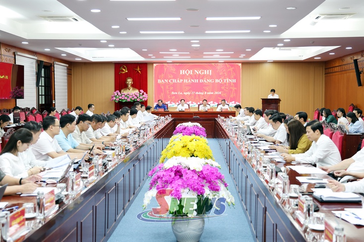 Hội nghị Ban Chấp hành Đảng bộ tỉnh