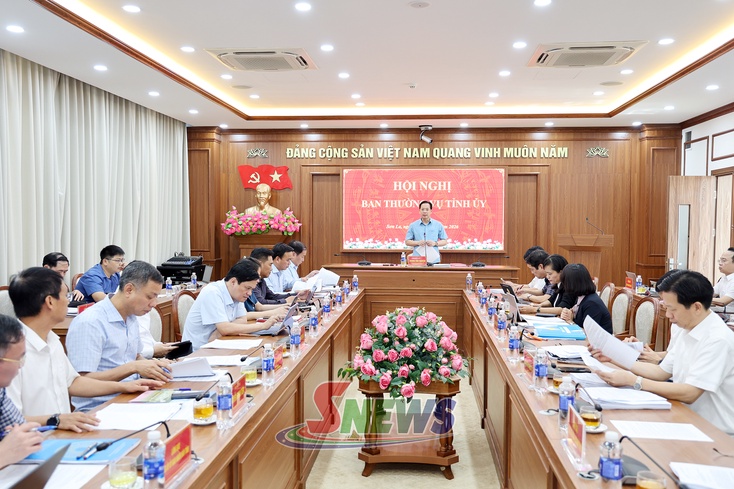 Ban Thường vụ Tỉnh ủy xem xét, quyết định một số nội dung theo thẩm quyền